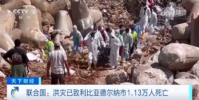 庄龙宝是什么意思